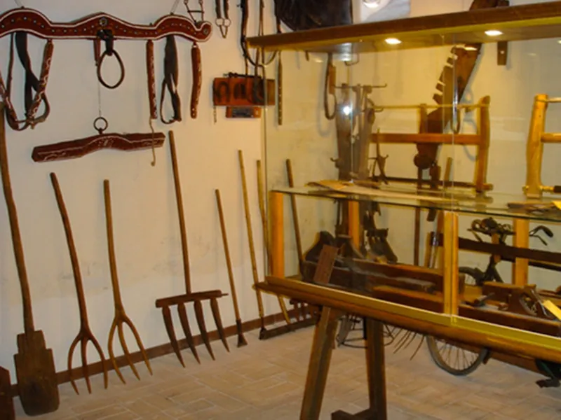 Museo dell’uomo