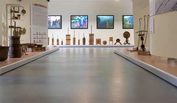 Museo demiologico Giacomo Bergomi