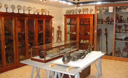 Museo di anatomia umana del dipartimento di morfologia umana e biologia applicata
