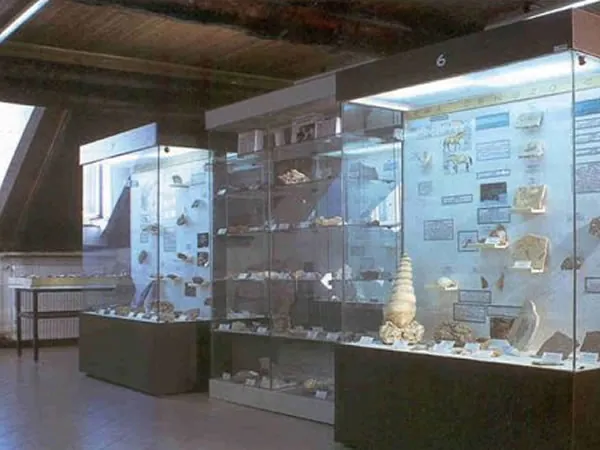 Museo di paleontologia e mineralogia
