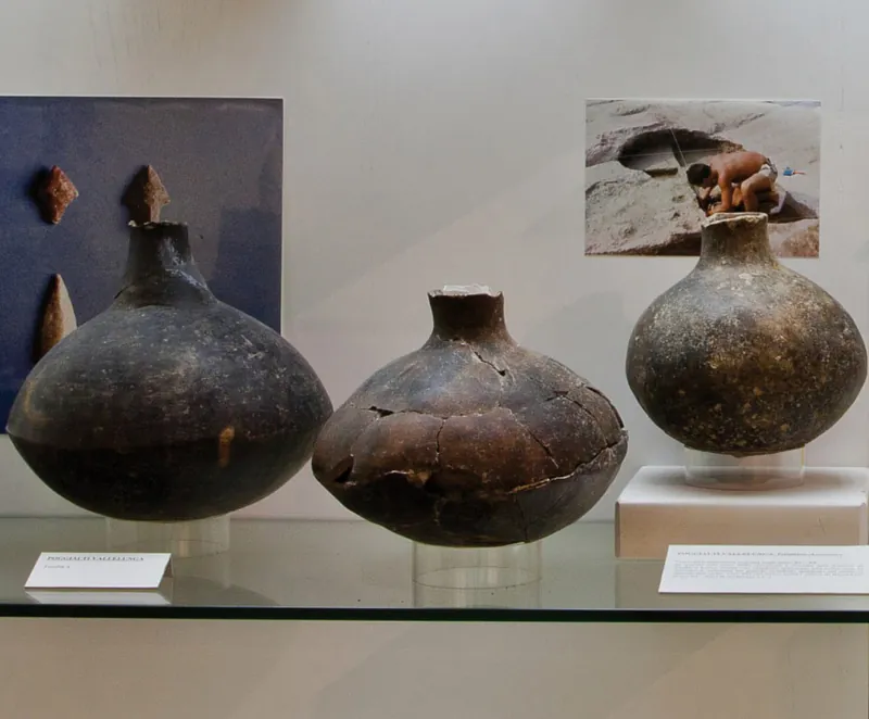 Museo di preistoria e protostoria della Valle del fiume Fiora