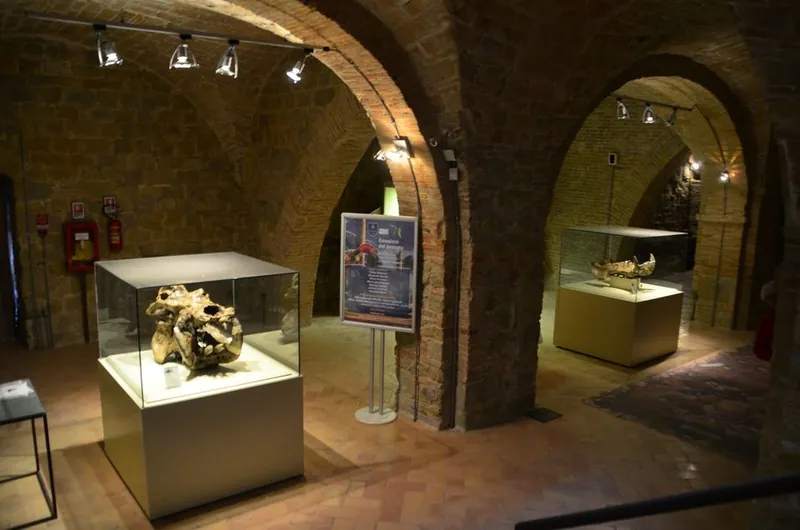 Museo di scienze naturali dell’Università di Camerino