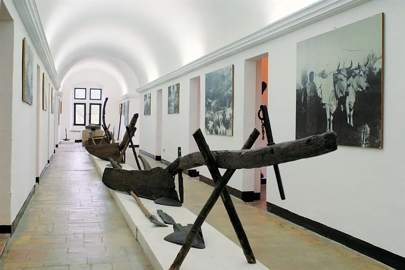 Museo di storia della mezzadria "Sergio Anselmi"