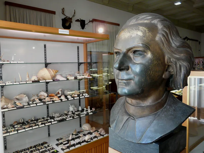 Museo di storia naturale "Antonio Stoppani"