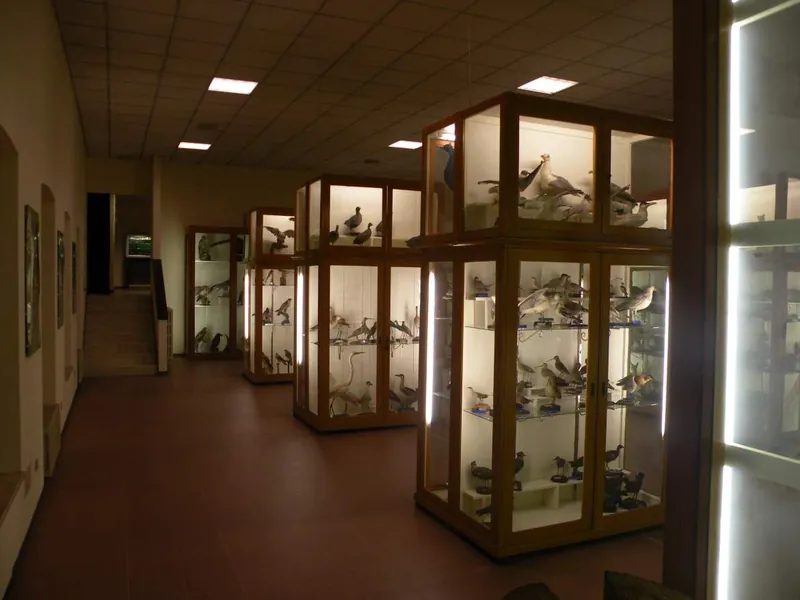 Museo di storia naturale Brandolini