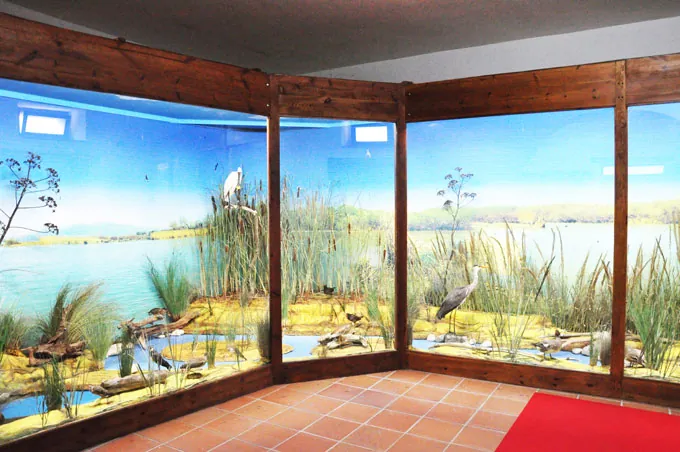 Museo di storia naturale della Calabria Sezione Diorami delle aree protette della Calabria