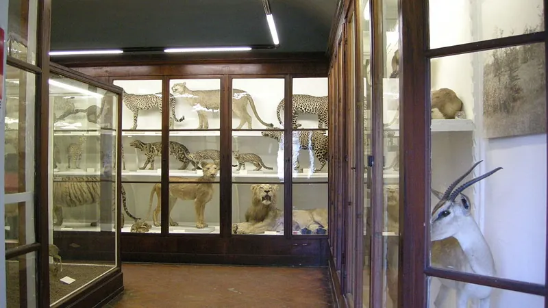 Museo di storia naturale dell’Università di Firenze - Sezione zoologia la Specola