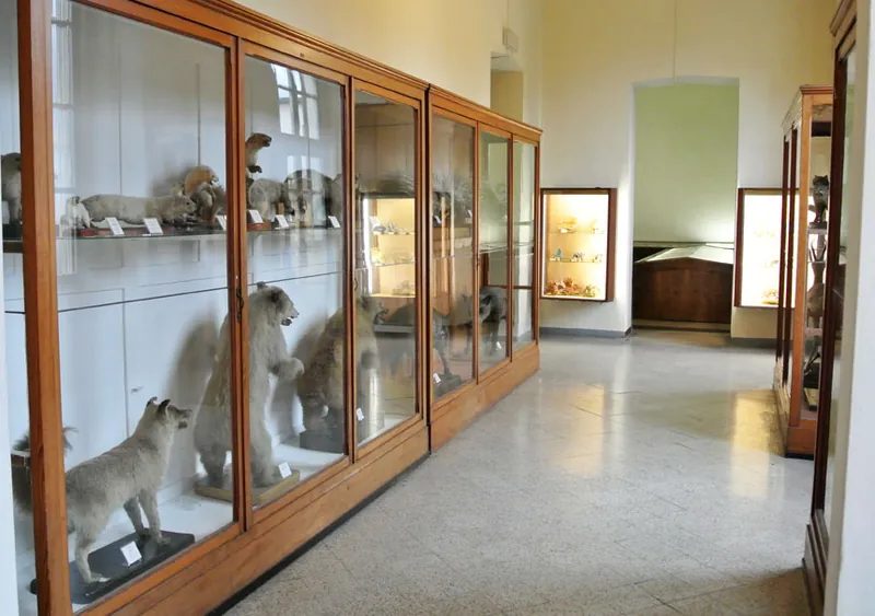 Museo di storia naturale di Lecco