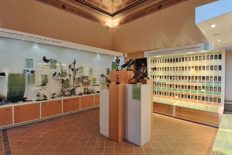 Museo di storia naturale e del territorio "A.Verri" - Palazzo della Corgna
