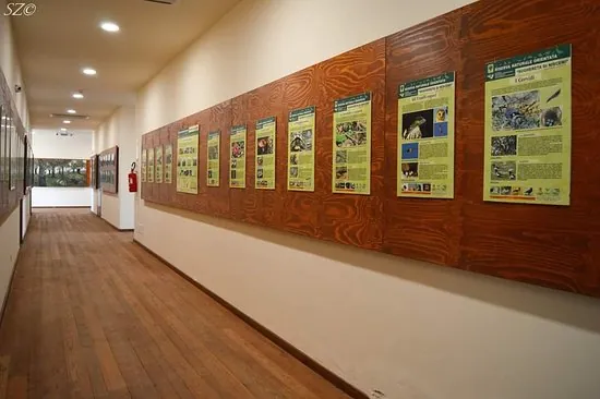 Museo didattico comprensoriale di storia naturale