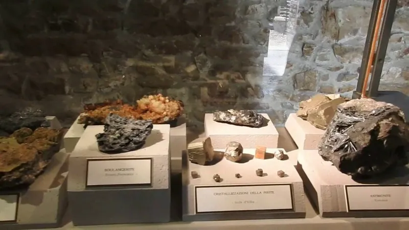 Museo geo-paleontologico di Cava Bomba