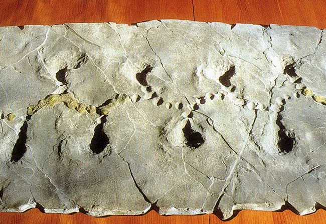 Museo geoterritoriale di Cantiano