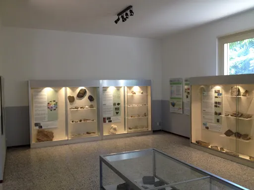 Museo Insubrico di storia naturale