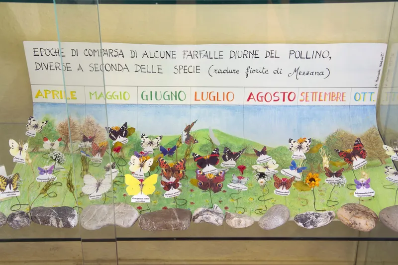 Museo Laboratorio della Fauna Minore del Parco Nazionale del Pollino