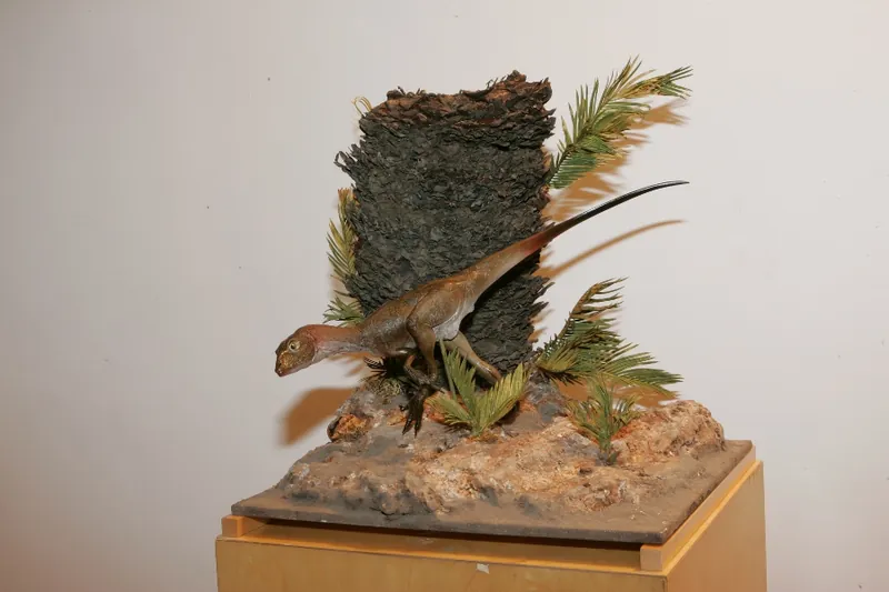 Museo mineralogico campano