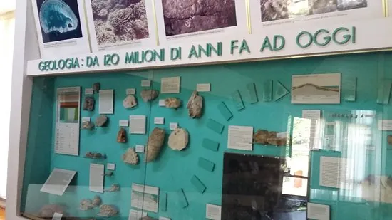 Museo naturalistico archeologico "Paolo Barrasso"