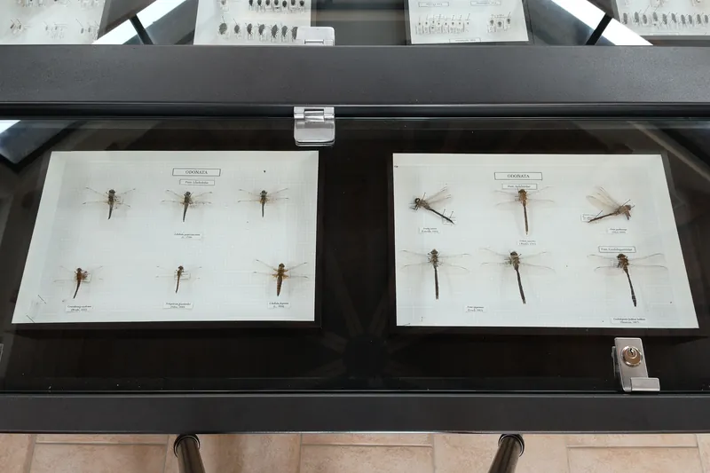 Museo naturalistico del Parco di Colfiorito