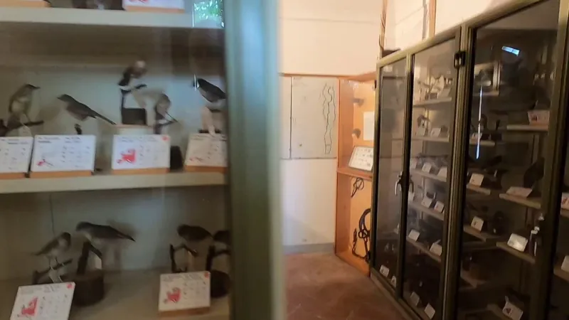 Museo naturalistico del Parco naturale "Lame del Sesia"