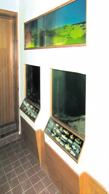 Museo naturalistico "Nicola De Leone"