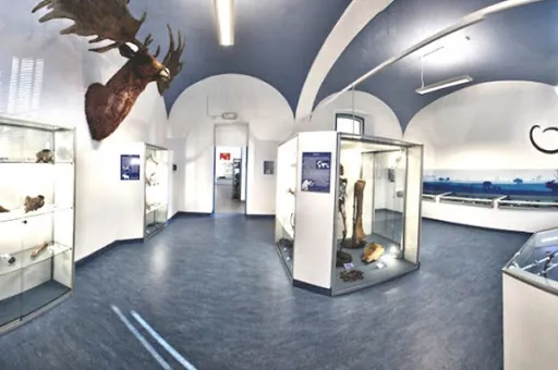 Museo naturalistico paleontologico