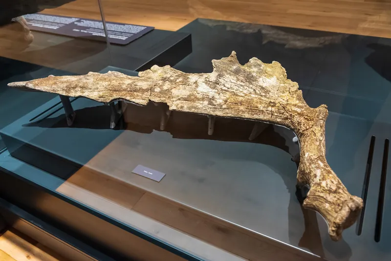Museo nazionale del Paleolitico di Isernia