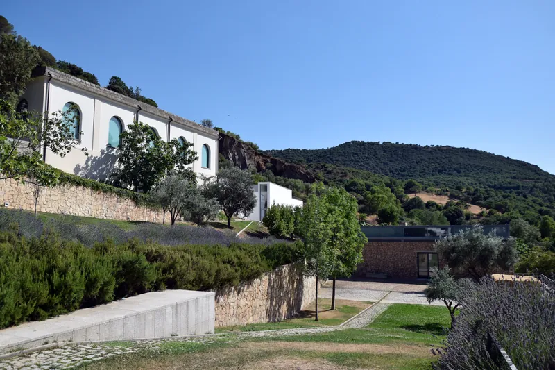 Museo Nivola