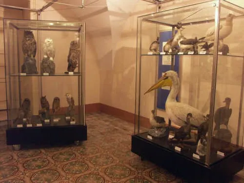 Museo ornitologico di Chiaramonte Gulfi