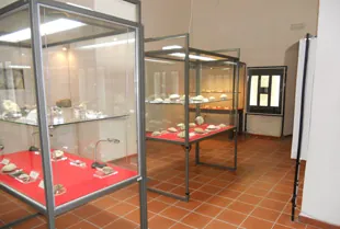 Museo paleontologico dell'Archeoclub di Baselice