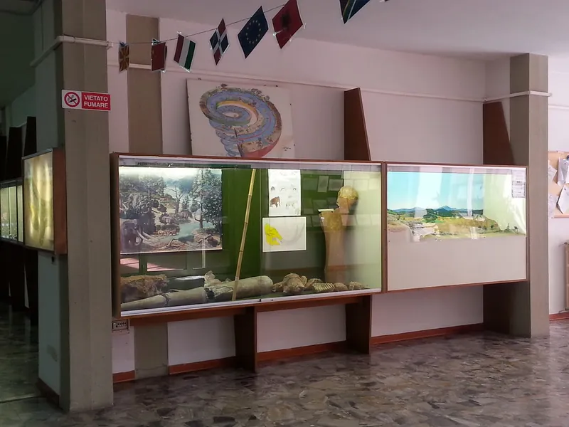 Museo paleontologico di Bucine