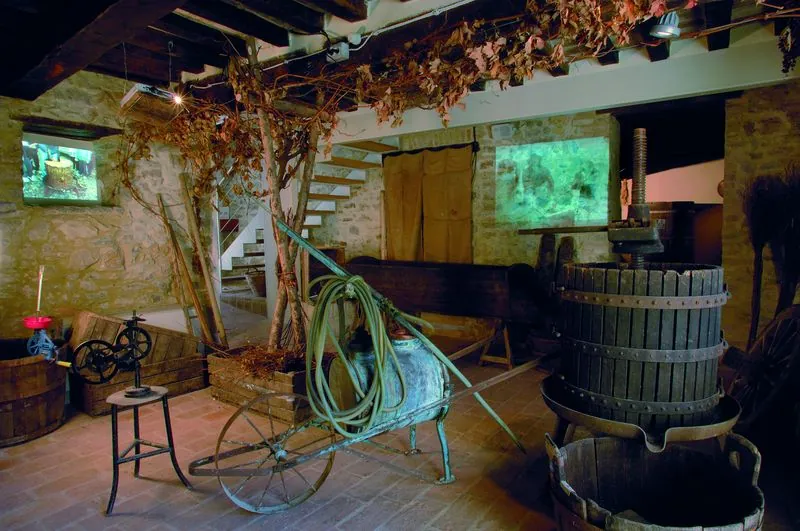 Museo Uomo-Ambiente