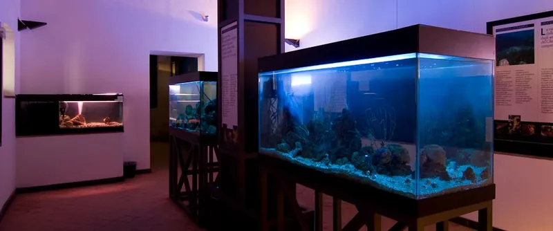 Museo Vivo del Mare