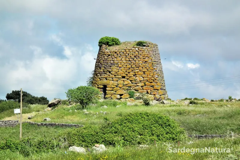 Nuraghe Succoronis
