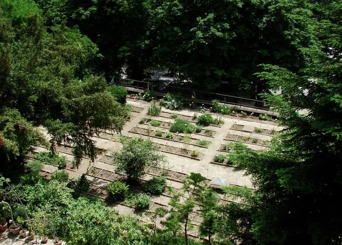 Orto botanico "Carmela Cortini" di UNICAM