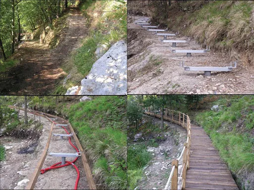 Orto botanico Pietro Pellegrini
