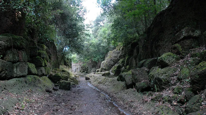 Parco archeologico di Cerveteri e Tarquinia - Area recintata e Area dei Grandi Tumuli, Tombe del Comune, Grande Tumulo di Campo della Fiera, Necropoli del Laghetto, Via degli Inferi