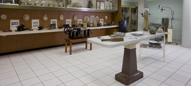 Simus - Cutvap Centro Servizi di Ateneo Tutela e Valorizzazione Antico Patrimonio scientifico Senese