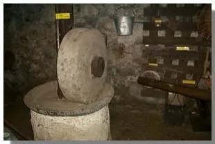 Torchio di Cerido